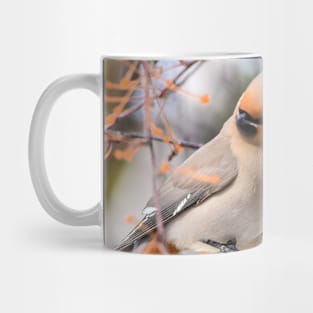 Bohemian Waxwing Mug